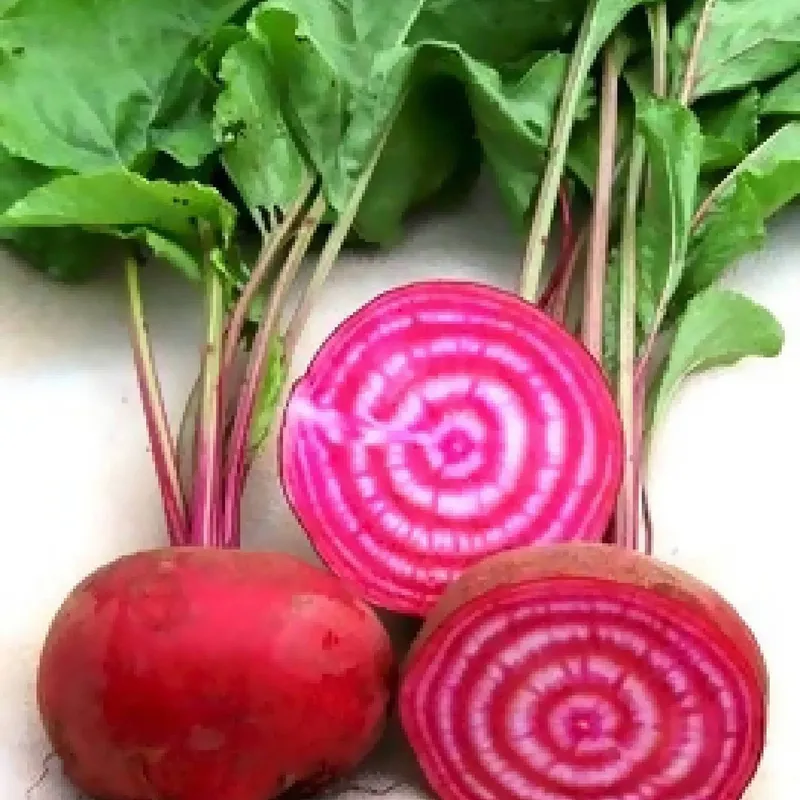 (1) Organic Bunched Chioggia Beets