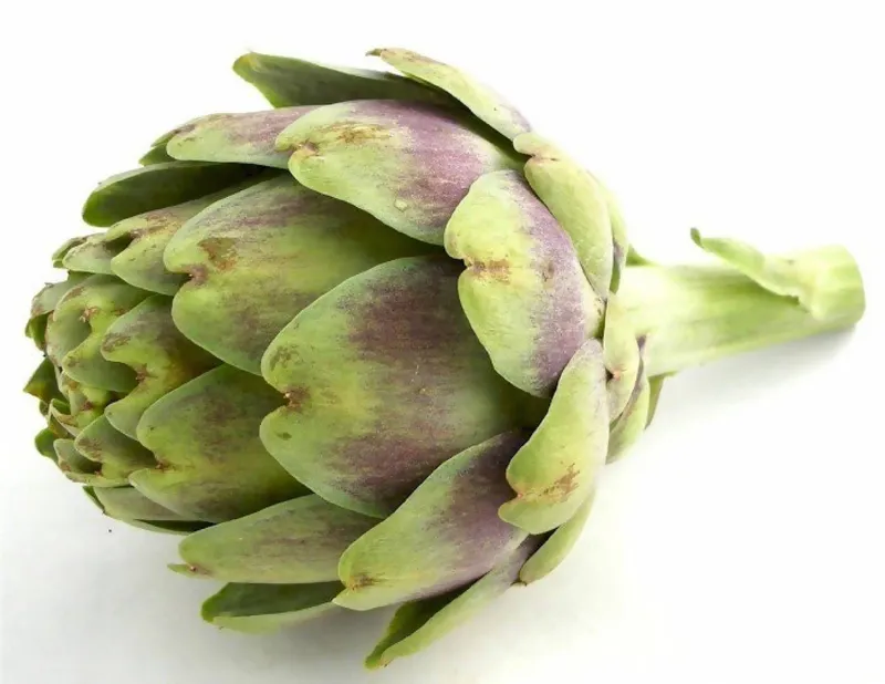 Organic Madrigal Artichoke
