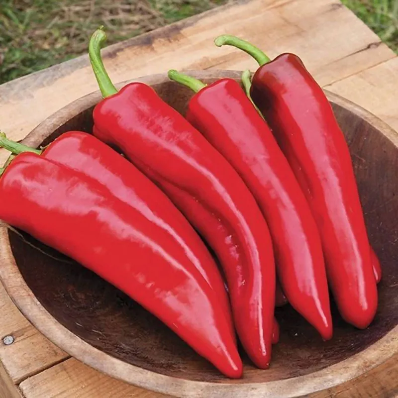 Red Anaheim Peppers