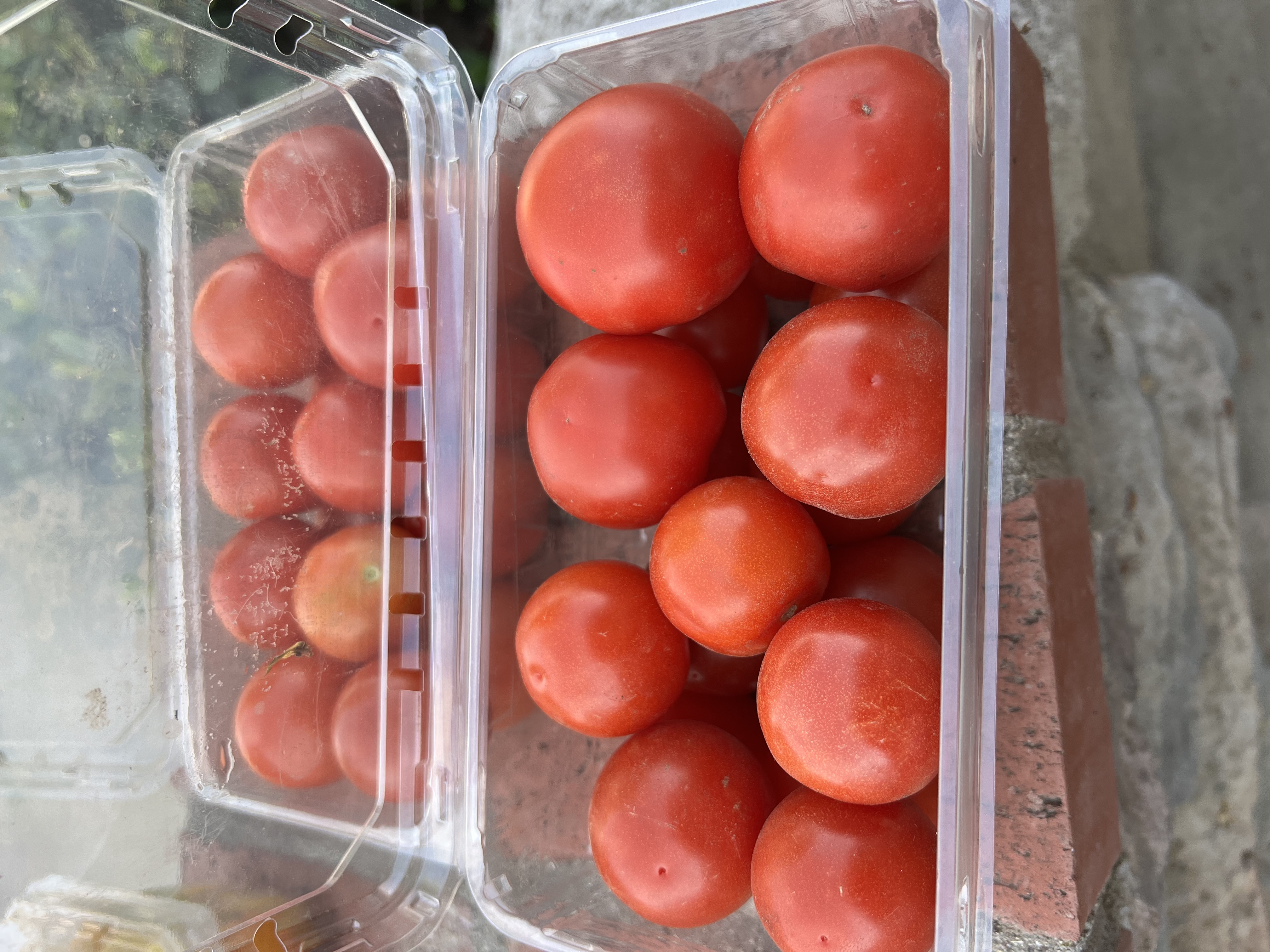 Cherry Tomatoes (1 lb clamshell)