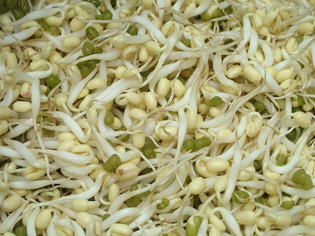 Organic Mung Bean Sprouts, 5oz