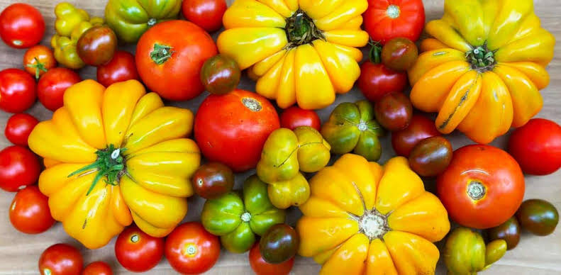 10 LB Box of Assorted Organic Tomatoes