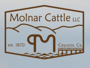 Molnar Avocados