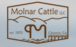 Molnar Pork by the Pacific