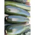 zucchini