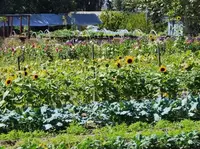 Growing Grounds Farm Santa Maria