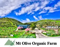 Mt Olive Organic Farm