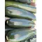 zucchini