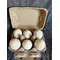 Pekin Eggs